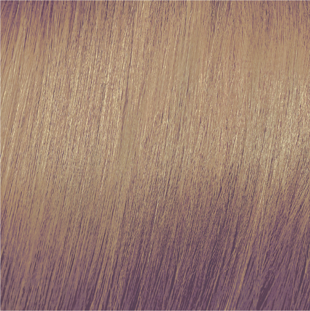 COLORE IN GEL, BRILLANTE
